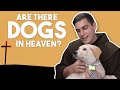 Did Christ Die for Dogs?