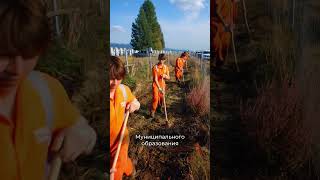 Заказ на благоустройство кладбищ муниципального образования город-курорт