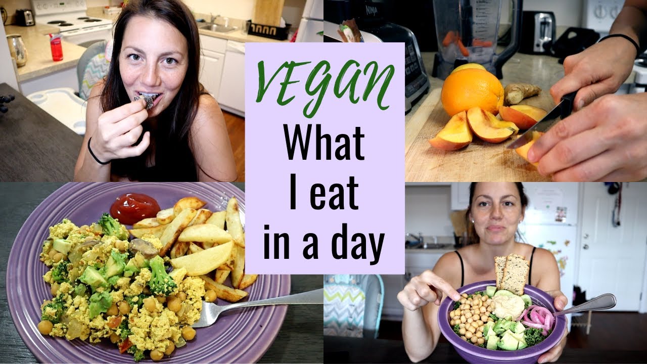 What I Eat in a Day Vegan | Healthy Plant Based Meals and Snacks!