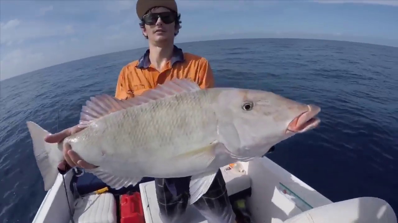 Fishing Bowen Shoals QLD 2019 YouTube
