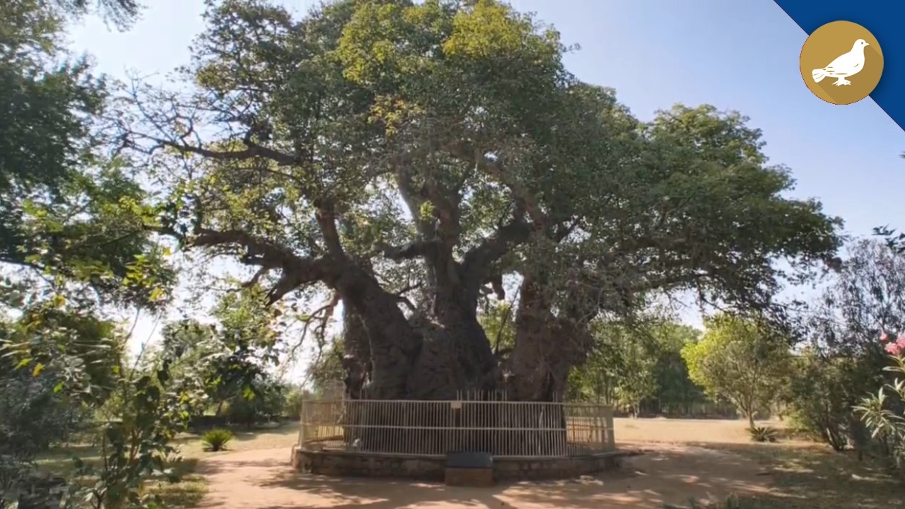 Хайдарабад: 430-летний Хатиян ка Джад в Голконде запрещён для публики