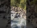 Amazing love