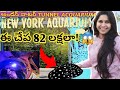 #8వేల రకాల చేపలు ఒకేచోట#cinematic walkthrough tour Newyork acquarium coney Island Underwater wonders
