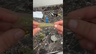 Rolling up while doing laundry 🧺 #420 #laundry #Raw #cannabis