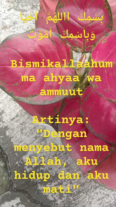 motivasi dan inspirasi islami#doa mau tidur#statuswa#storywa