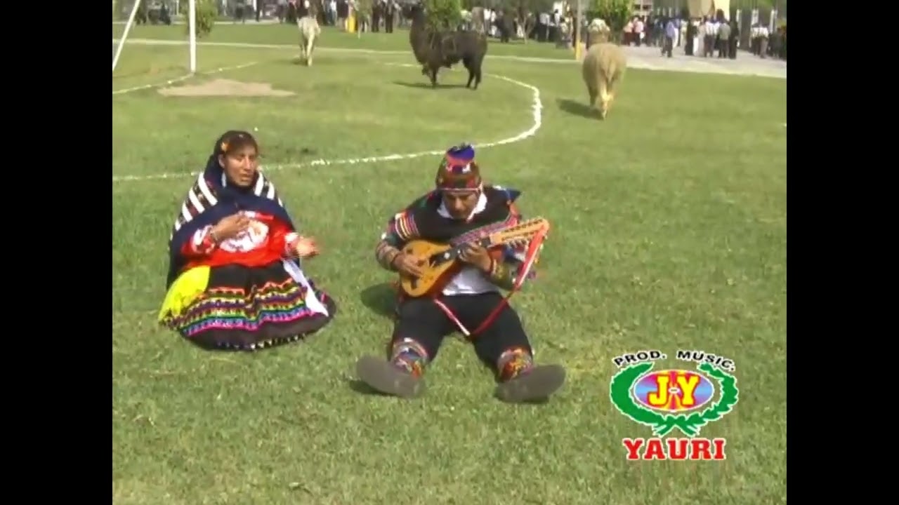 Yachankichu - Golondrina de Huanaspampa | Bandurrias de Huancavelica