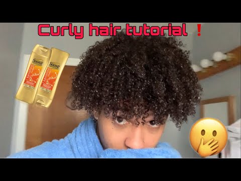 5 curly hairstyles to try – no matter your curl type - Nexxus US