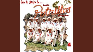 Video thumbnail of "Banda Potrillos de Tilza Morelos - Vive"