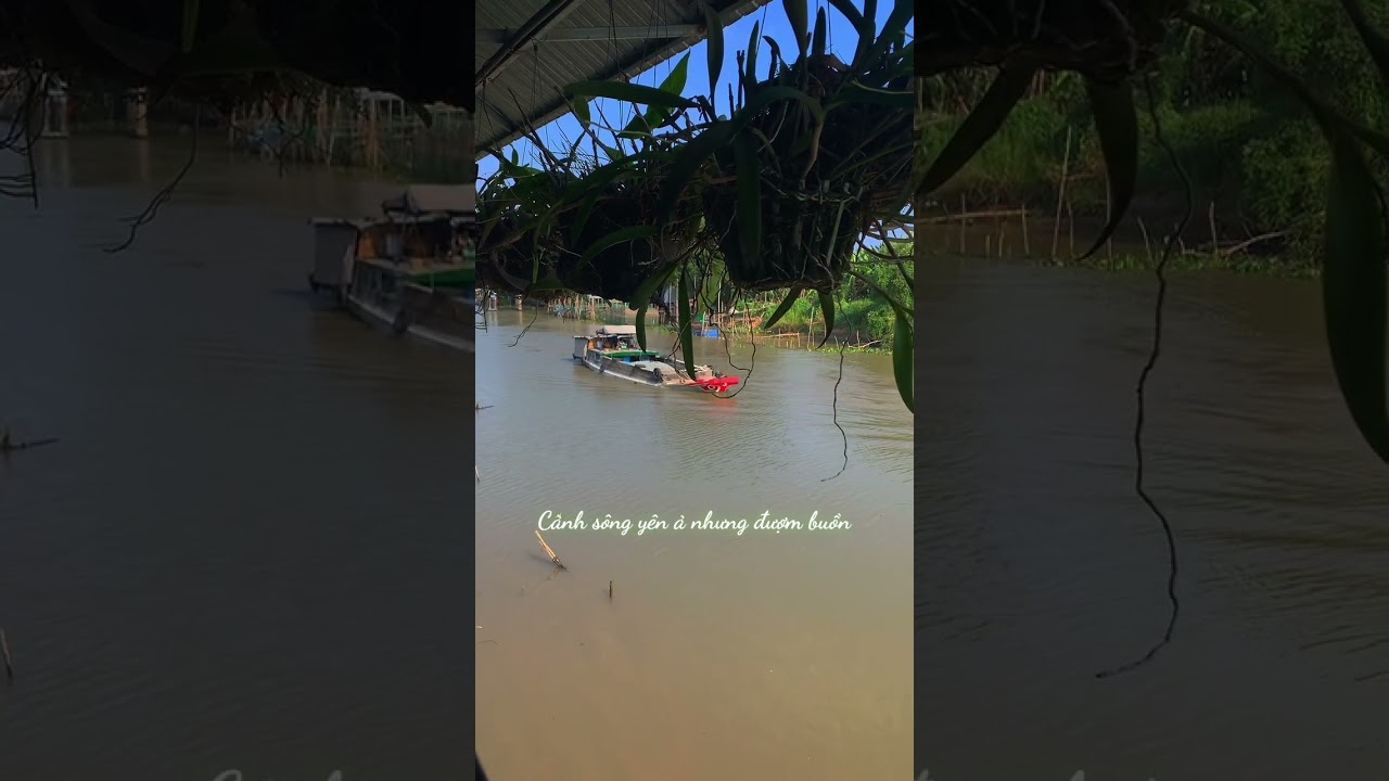 Cảnh sông quê yên ả nhưng đượm buồn