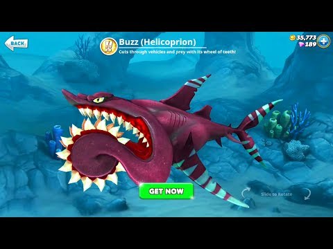 The Shark Week Update New Shark Helicoprion Buzzsaw Killer Youtube