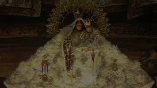 Miércoles de la X semana del Tiempo ordinario   - Santa Misa 10 de Junio del 2026 8 PM.