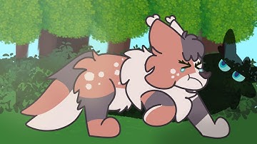 A Little Attention | Blossomfall MAP Part 1