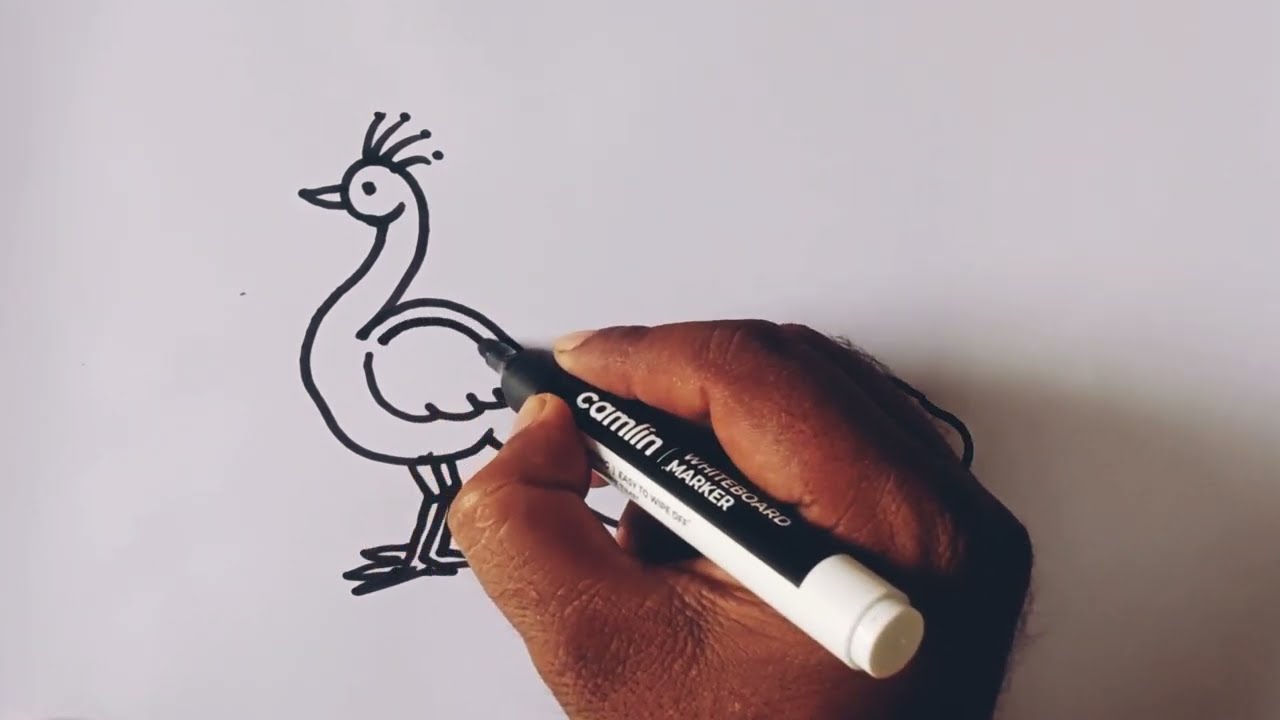 How to draw peacock easy step by step/Bird drawing 