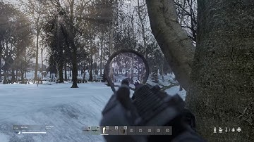 Dayz | AS VAL armor piercing shreds plate carrier