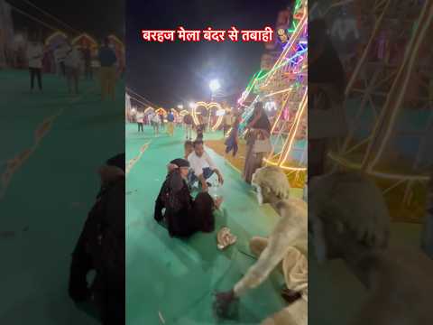 बरहज मेला बंदर से तबाही 🐒🐒 #trending #viral #short # funny #reaction #comedy  #vinsefunny