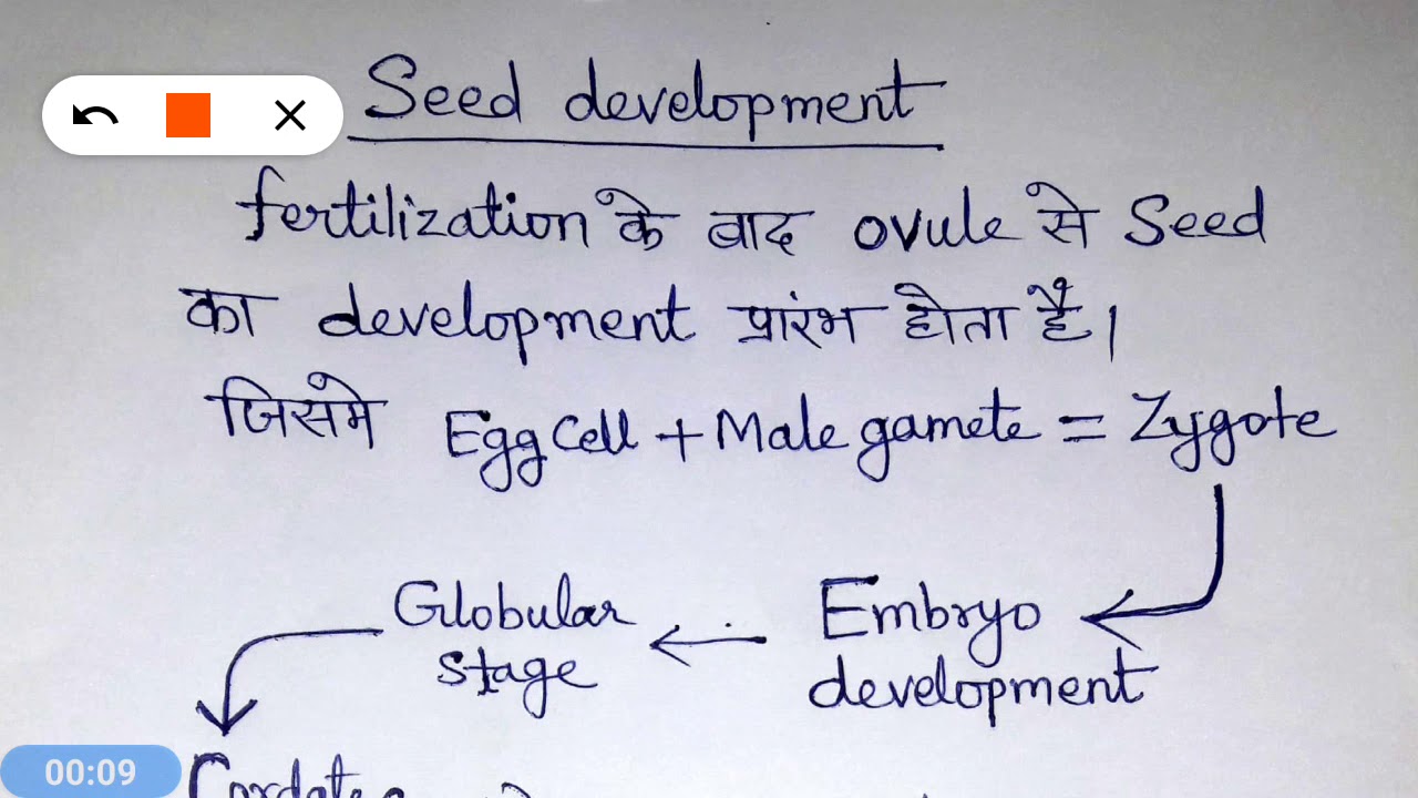 Seed development (hindi) YouTube