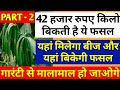 42 हजार रुपए किलो बिकती है यह फसल, Profitable crop, vanilla farming, agri business, earn money