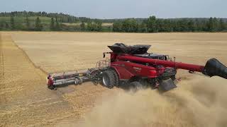 Long Version @CaseIHTube AF11 Combine harvesting in wheat, corn & soybeans.