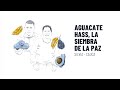 Aguacate Hass, la siembra de la paz | El Colombiano