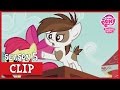 The Presidential Campaign (Crusaders of the Lost Mark) | MLP: FiM [HD]