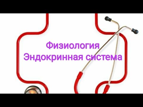 Видео: Красотата на жените е нивото на естроген