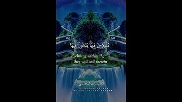 الشيخ ريان المحيسني تلاوة خاشعة🌹🤍