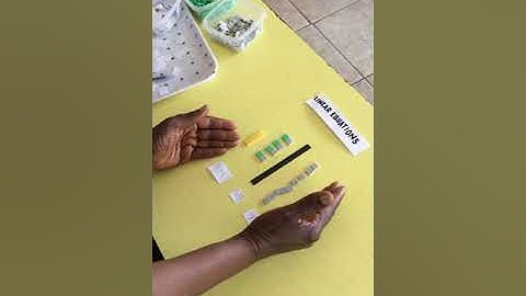 Solving One Step Equations with Negative numbers - Montessori Elementary Math - Algebra (1 of 4)