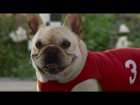 10-funny-dog-commercials