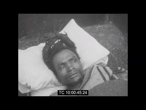               1956