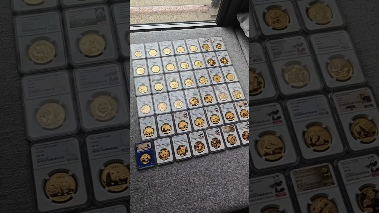 Panda Gold Coins INSANE Collection🐼 