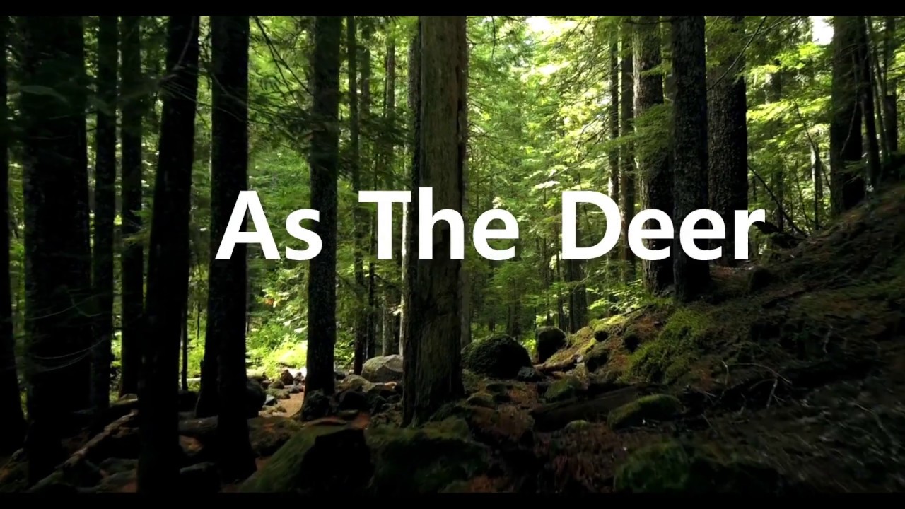 As The Deer Heavenly Song YouTube