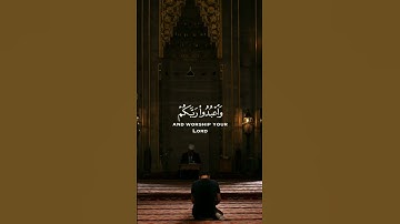 يا أيها الذين آمنوا اركعوا واسجدوا واعبدوا ربكم  #عبدالرحمن_مسعد #قرآن #تلاوة #صوت_الخشوع #سورة_الحج