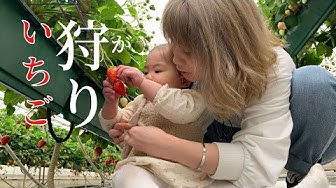 いちご狩り Youtube