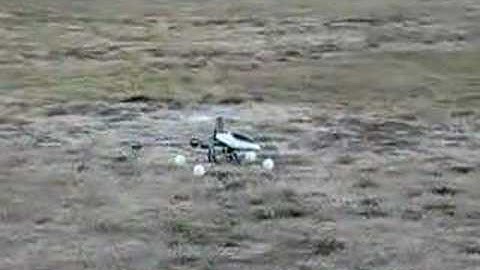 Trex 450 SE V2 First Hover