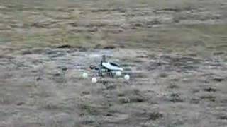 Trex 450 SE V2 First Hover