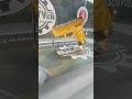g2c diferenciada