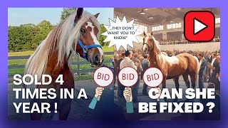 Horse was Sold 4 times in a year ! Can she be fixed ? Should I keep her ? 🥲