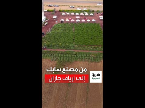 من مصنع سابك إلى أرياف جازان