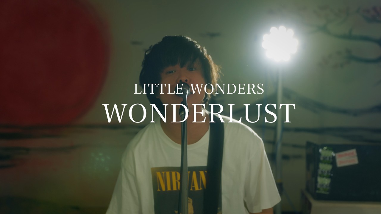DISCOGRAPHY - LITTLE WONDERS