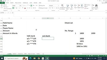 SAP FICO ENGLISH S4HANA: AUTOMATIC PAYMENT PROGRAM (APP) - 06