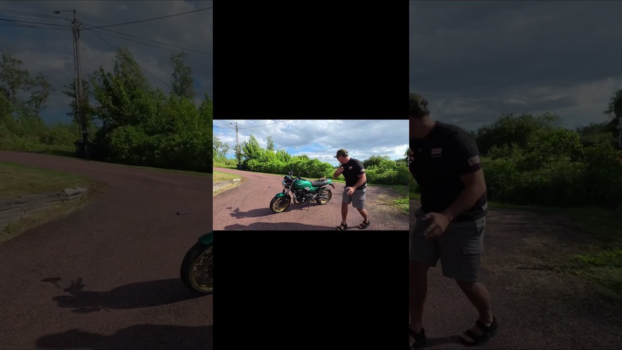 Inspektions Ödla!