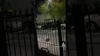 Vecinos ruidosos ! La venganza es dulce #vecinos #temerarios #shortvideo #tiktok #reels #tiktokvideo