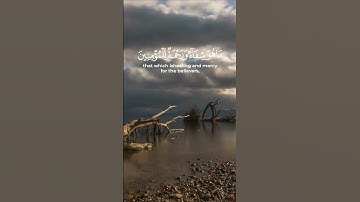 سورة الإسراء الآية 82 بصوت القارئ محمد الفقيه