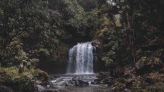 Penelusuran alam‼️ Relaksasi air terjun dan suara alam