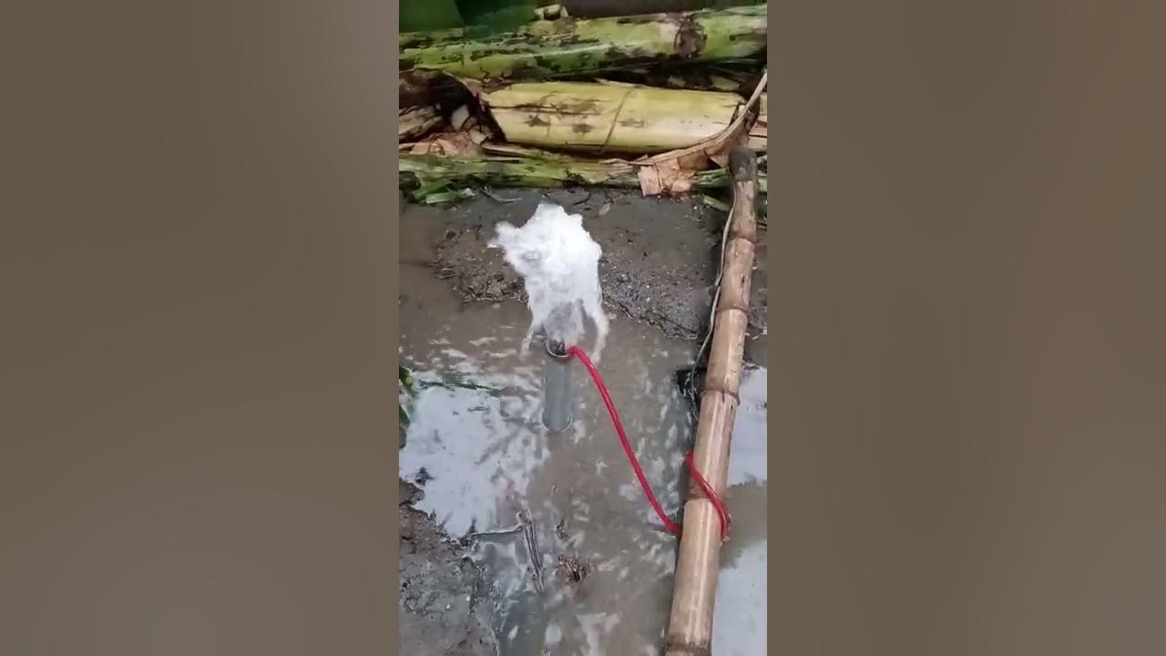 Deepwell purging using air compressor. YouTube