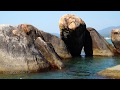 Agonda Beach, GOA (1080HD)