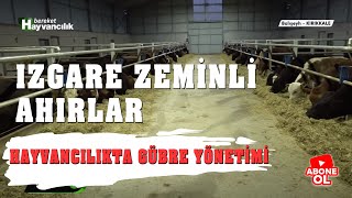 Hayvancılık Rehberi - Izgara Zeminli Ahırlar