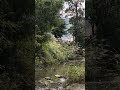This river has fed the ancient village for hundreds of years #history #river #chinatravel #asmr
