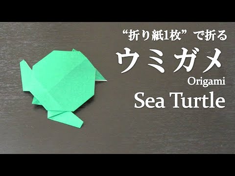 折り紙1枚 簡単 立体的で可愛い海の生物 ウミガメ の折り方 How To Make A Sea Turtle With Origami It S Easy To Make Youtube