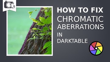 How to Fix Color Fringing | Darktable Tutorial #06